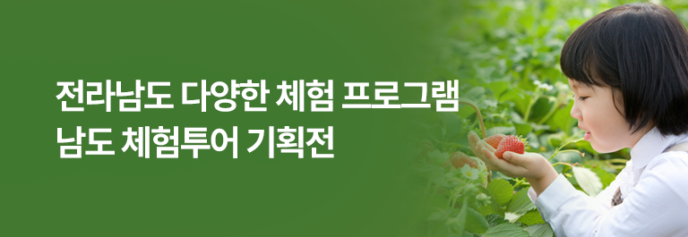 남도 체험투어