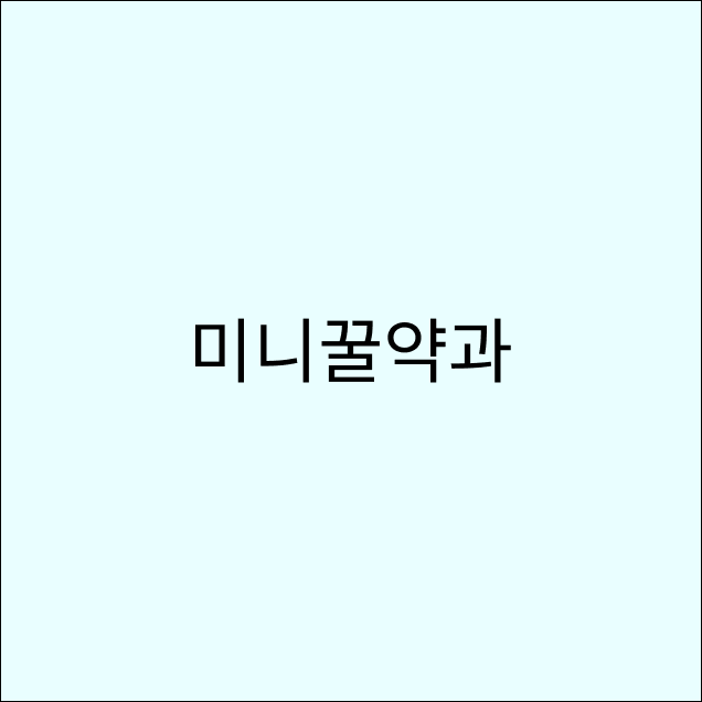 미니꿀약과21271
