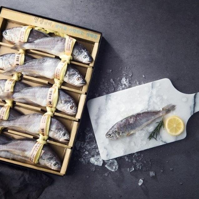 (성광굴비)영광굴비 오가3호 23cm내외 10마리 1,4kg내외 지함+보자기1312