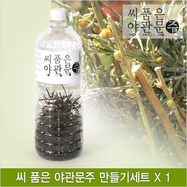 (누리보듬)씨 품은 야관문만들기세트(60~70g)2172