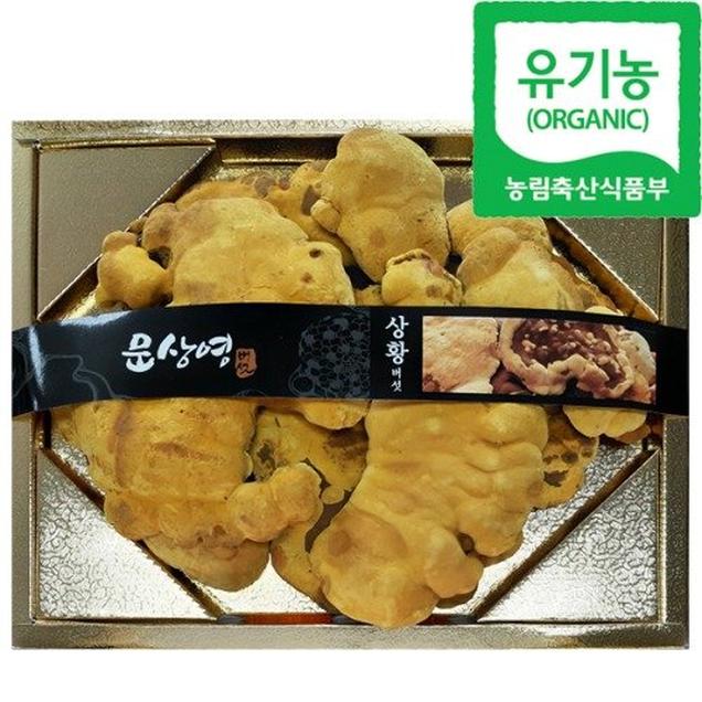 (한국기능성버섯)유기농 상황버섯 특품(250g/500g)4268