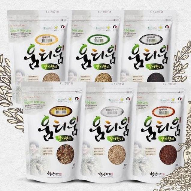 (해남미소)백년지기 움티움 발아흑미 800g13016