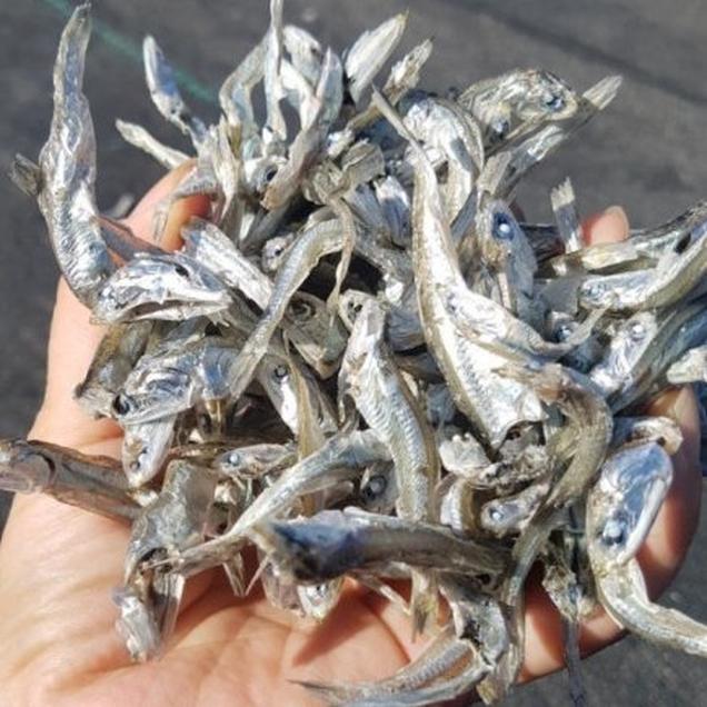 (해남미소)땅끝어부 중멸치 250g12963