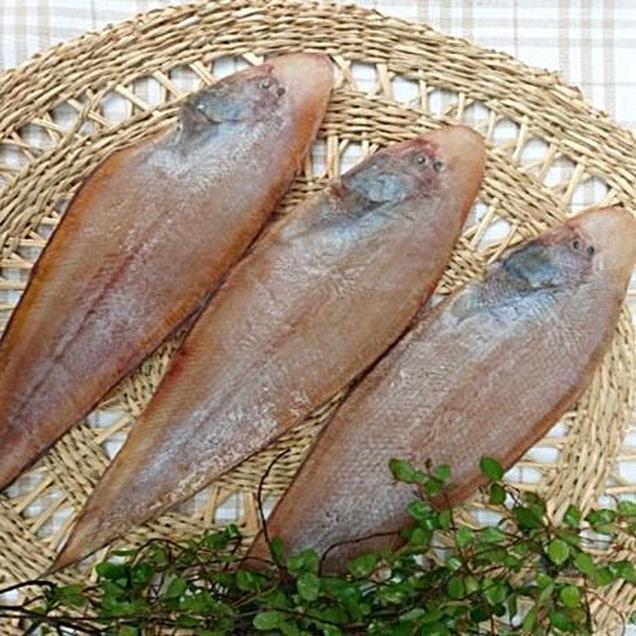 (녹동수산)국내산 반건조 참서대 3미 30~32cm내외2782