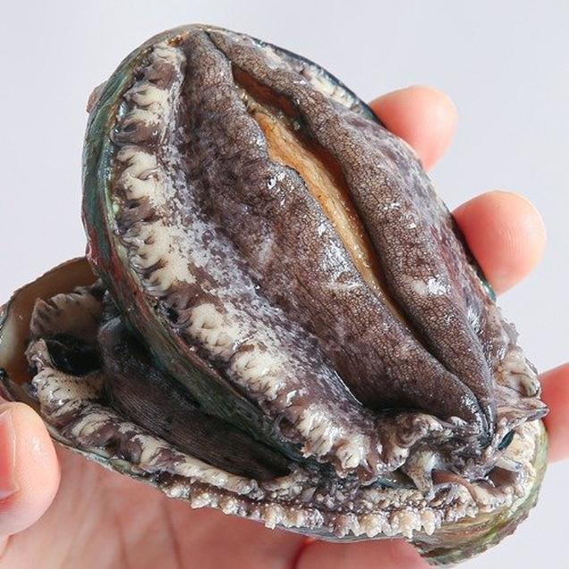 (해남미소)청해전복수산 전복 1kg(14-15미)12954
