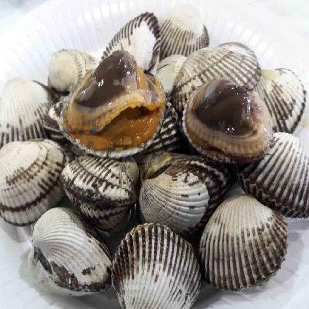 (오병이어)깨끗한 벌교 여자만 새꼬막 1.5kg/2kg/3kg2546