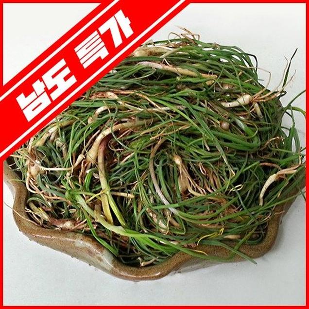 (오병이어)봄향기 가득한 봄나물 달래 500g15217