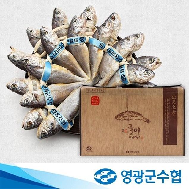 (영광군수협)몸에좋은 굴비 가정용 20미(1.7kg~2.1kg)5601