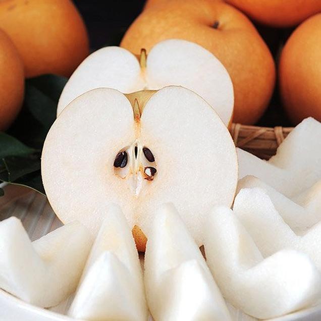 (이룸팜스)달콤아삭 가정용/특품 나주배(3kg/5kg/15kg)14398