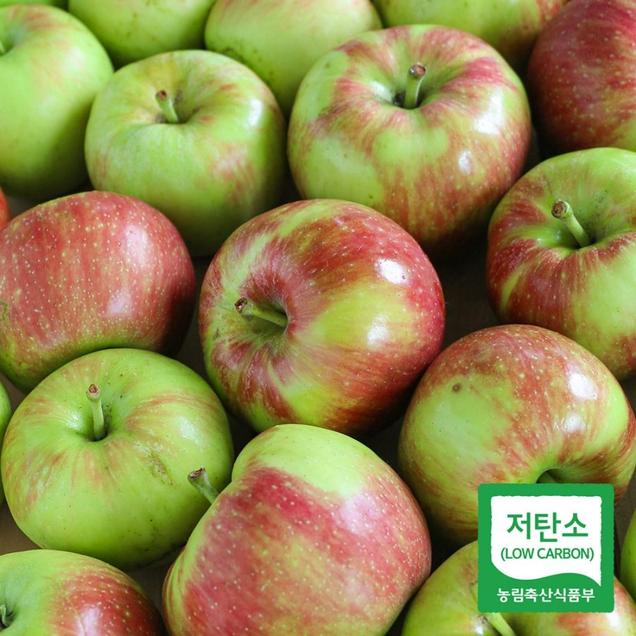 (한마음공동체)저탄소인증 여름 햇사과 5kg(썸머킹/무선별)12698