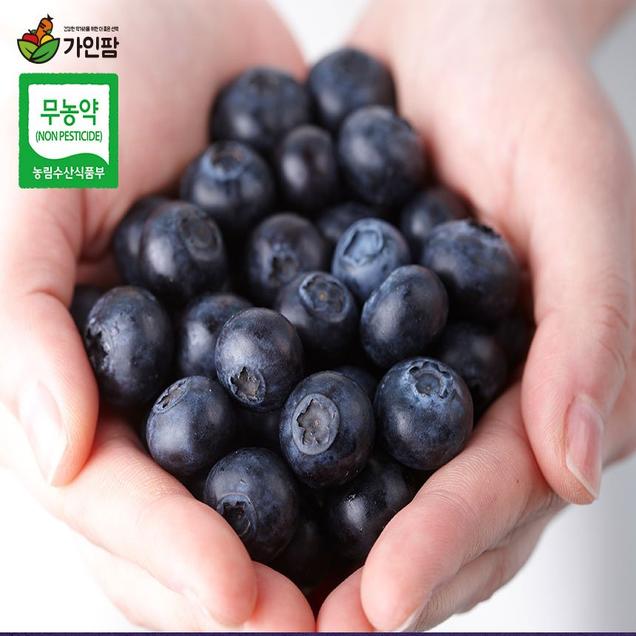 (한마음공동체)친환경 무농약 블루베리 500g/1kg(냉동,무선별)12678