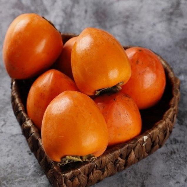 (푸르름)산지직송 달콤한 금정 대봉감 4.5kg16628