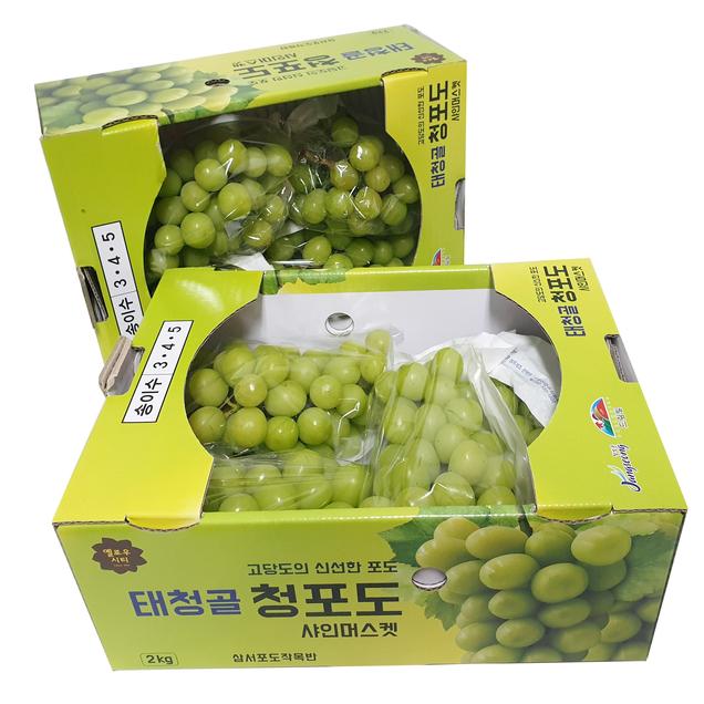 (한마음공동체)국산 고당도 샤인머스켓 씨없는 포도 망고포도 2kg12670