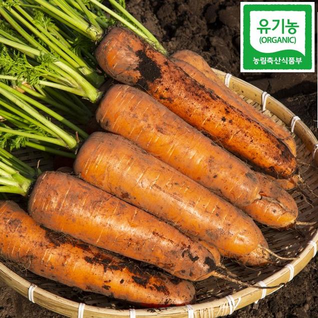 (한마음공동체)건강한 땅에서 자란 유기농당근 5kg(무선별)12704