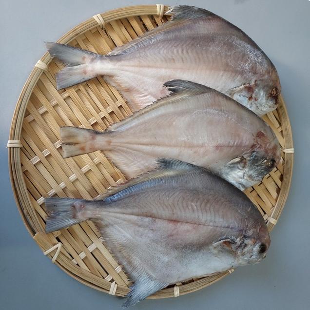 (여수동동식품)담백한 손질 여수 대병어 3마리(마리당 250g이상)5693
