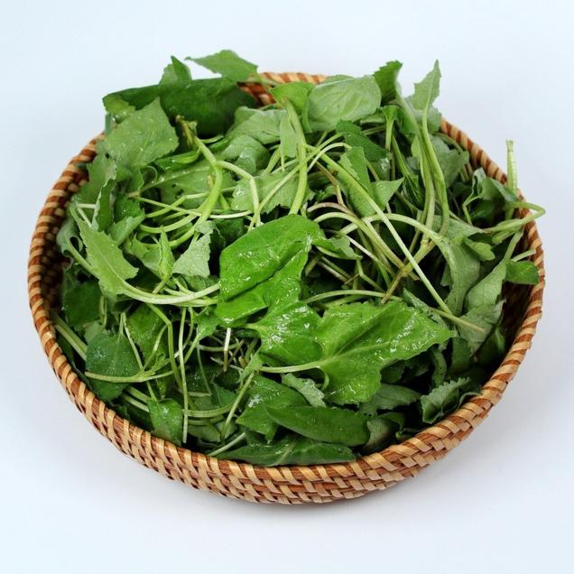 (팜푸드)산나물의 왕 향긋한 취나물 500g/1kg15158