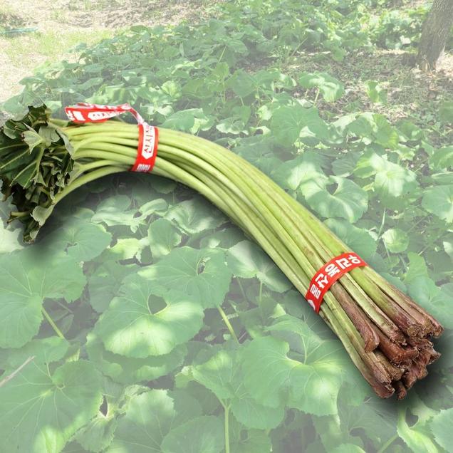 (팜푸드)노지 햇 머위대 1kg15194