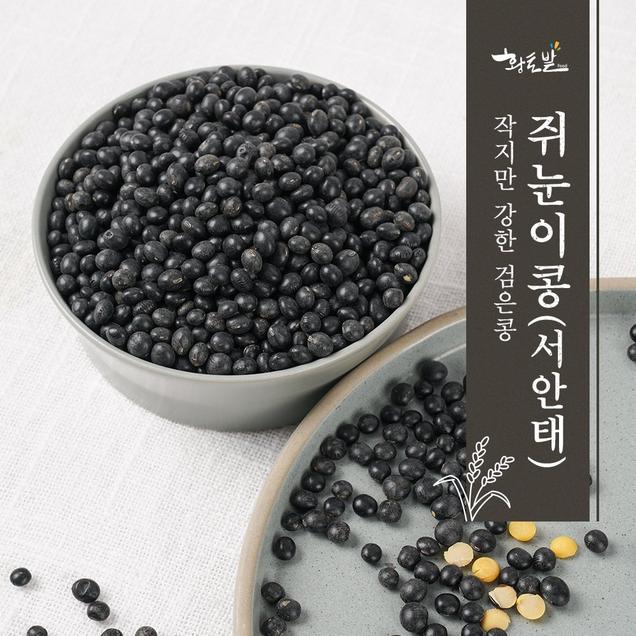(황토사랑)24년산 황토밭푸드 국내산쥐눈이콩(서안태)(1kg/2kg)6498