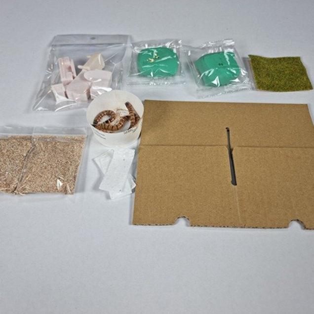 [체험활동꾸러미] (금농) 스티로폼 해결사 밀웜아파트 (영암)6477