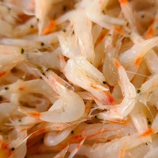 (베리굿스)신안산 추젓 상/특품 1kg/2kg/3kg(새우젓)6791