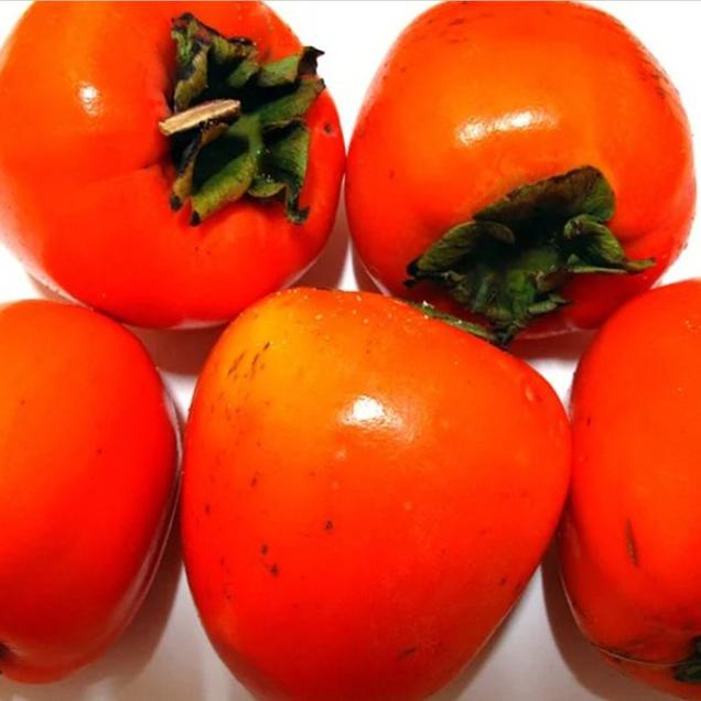 (베리굿스) 정품 대봉감 10kg 3kg 5kg (대과 개당중량 250~330g)6783