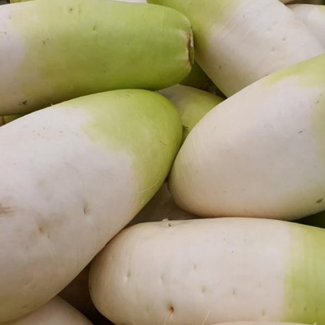 (베리굿스)손질한 세척무 정품 5kg/10kg(무우)6763