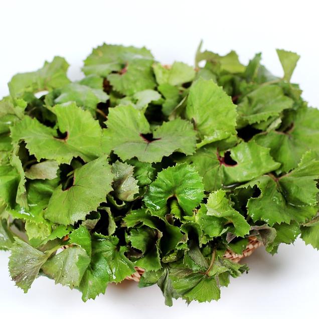 (팜푸드)봄철 입맛돋구는 노지재배 머위잎 500g/1kg15180