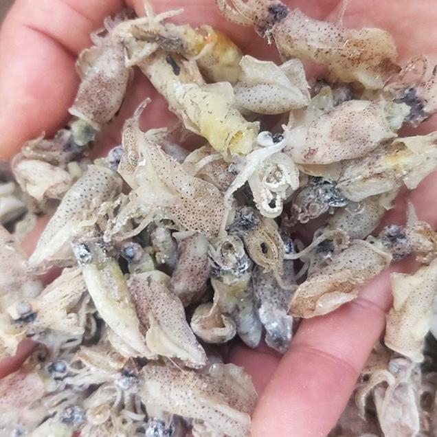 (조이박스)짭쪼름하고 맛있는 국내산 말린 건꼴뚜기 150g/300g17820