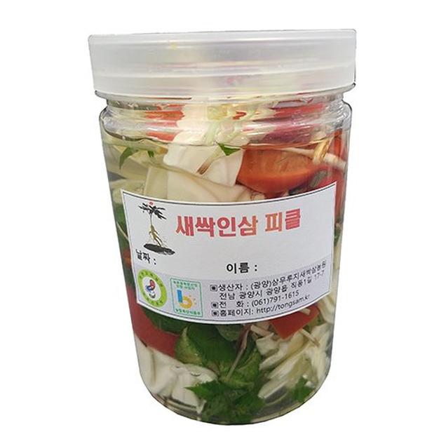 (삼무루지)삼무루지새싹삼 새싹인삼 피클 만들기14161
