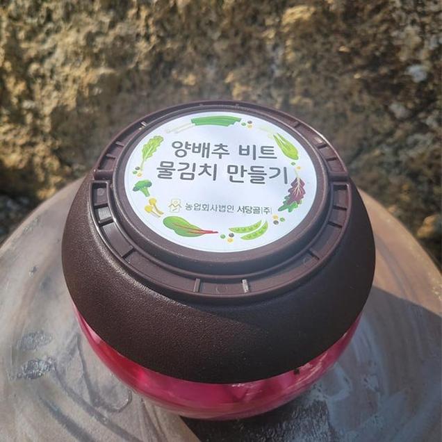 [체험활동꾸러미] (서당골) 양배추비트 물김치 만들기 체험키트 504g (순천)7038