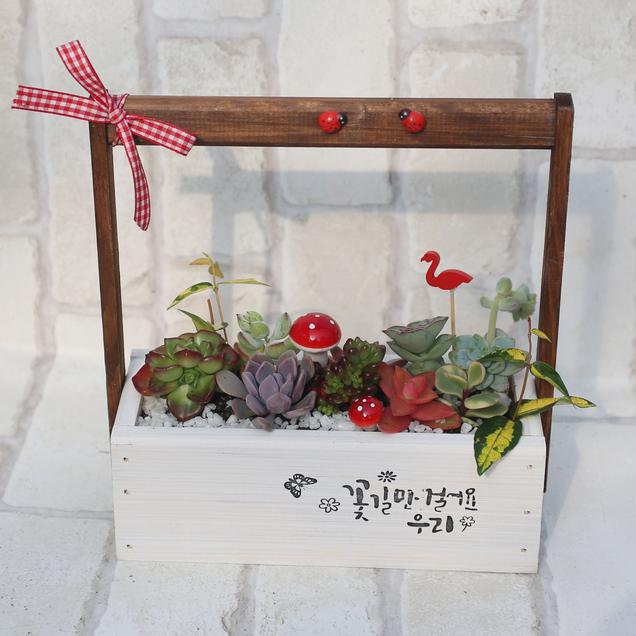(꼬까신/오토바이)조은농원 꽃길만 걸어요18391