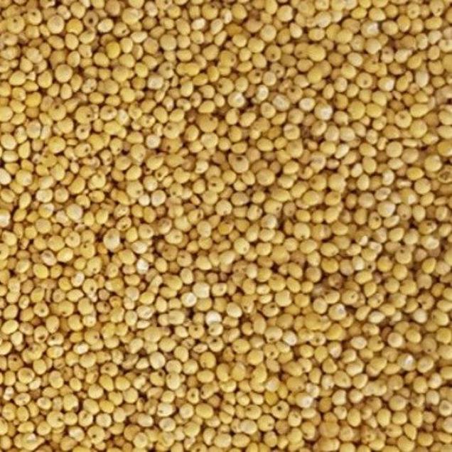 (한땀)23년 황토밭 무안 기장 1kg15933