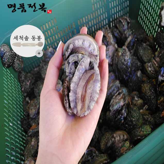 (명품전복)완도 명품 활꼬마전복 40-50미 1kg[손질솔 증정]5101