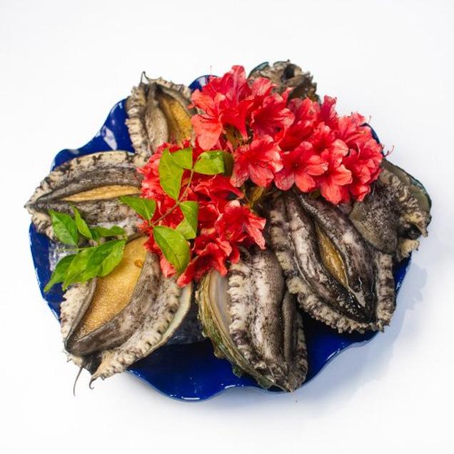 (지구바다)산지직송 완도 참전복 1kg(7-9미)6988