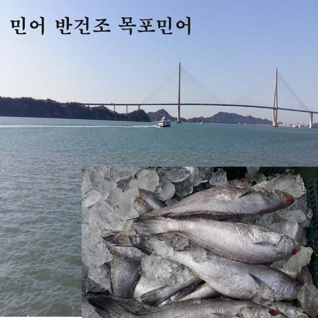 (장수웰빙수산)반건조민어 3마리 300g 내외6545