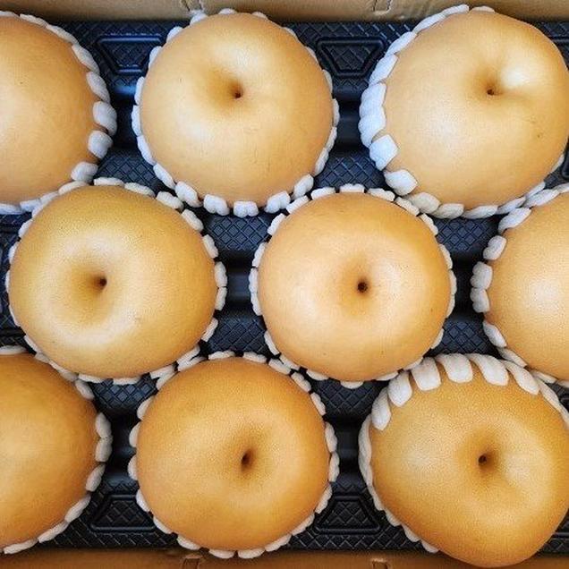 (전남정보화마을)벌교부농정보화마을 풍부한 과즙 아삭한 식감 신고배(7.5kg)17136