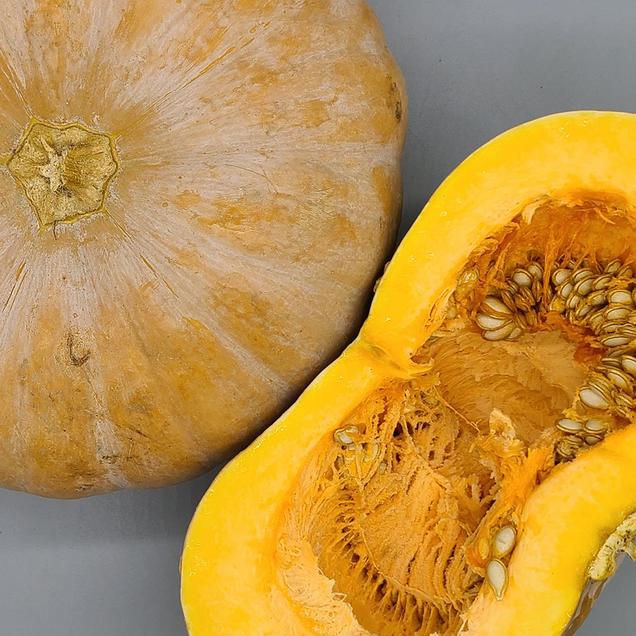 [aT농할](농할 할인)(베리굿스) 햇 늙은호박(특품)14238