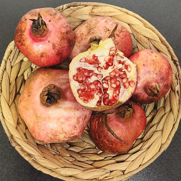 (베리굿스) 천연 에스트로겐이 더 풍부한 햇 국산 석류생과 1kg/2kg/3kg6829