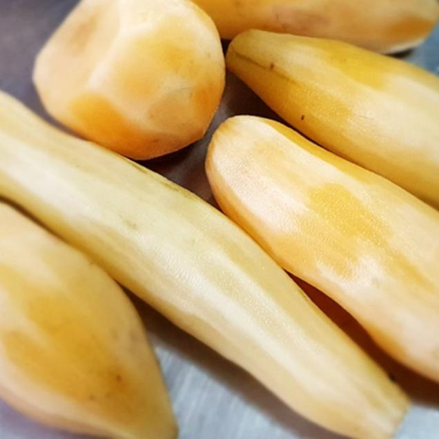 (베리굿스) 국산 생야콘 3kg (특품)6817