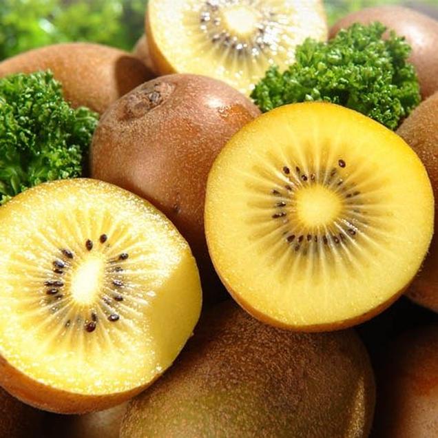 (참다래영농단)보성 그린참다래 골드키위 3kg14190