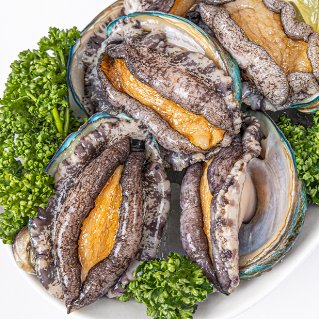 (블랙빈) 완도 산지직송 활 참전복 선물세트 1kg + 부직포포장6365