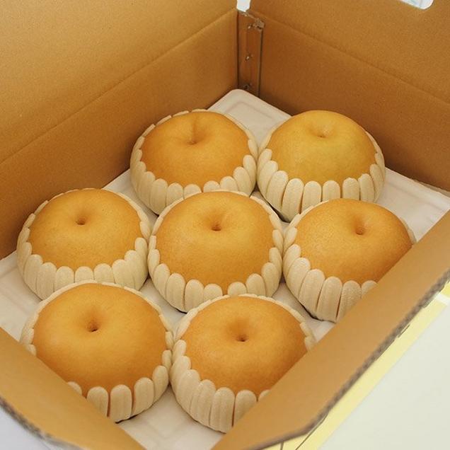 (아름답게그린배)저탄소 GAP인증 배 선물용 5kg13917