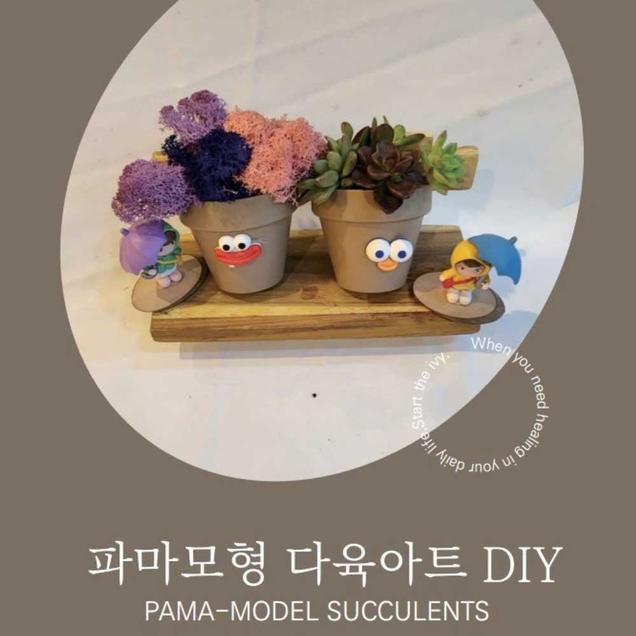 (담쟁이)파마모형 다육아트18553