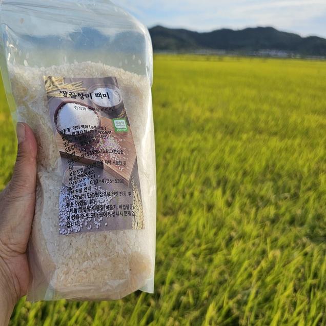 (해밀농장)2024년 땅끝 향미백미 3kg4533