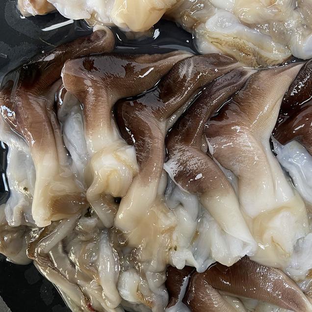 (올바른푸드)달큰하고 쫄깃한 여수 정품 새조개살 500g(급냉)15652