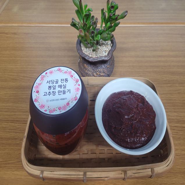 [체험활동꾸러미] (서당골) 전통 뽕잎매실고추장 체험키트 600g (순천)7039