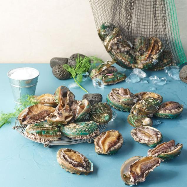 (완도전복)완도활전복 중 16~18미 1kg1098