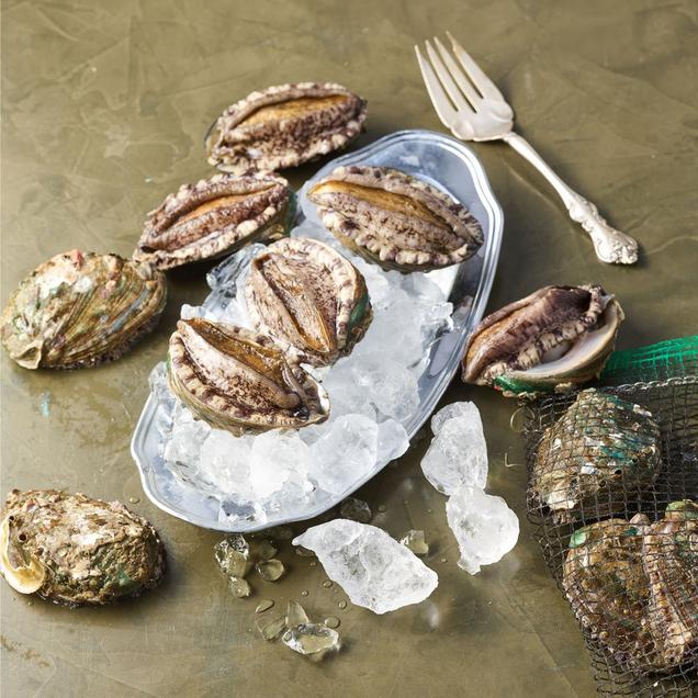 (완도전복)완도활전복 특특대 6~7미 1kg1074