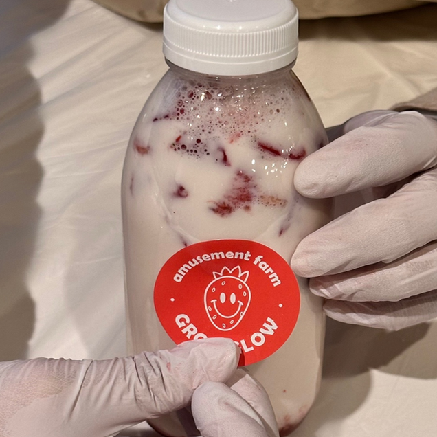 (보성싱싱농원)생딸기우유 만들기3743