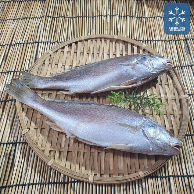 (여수동동식품)국내산 제수용 수조기 30cm 내외 2마리5709